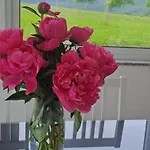 Vikendica Bruse