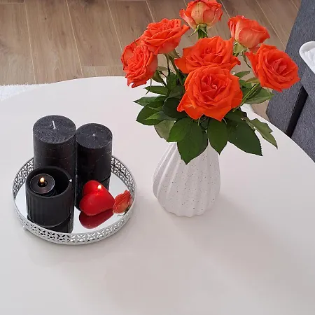 別荘 Vikendica Bruse